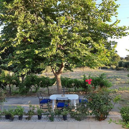 Swan House Panoramic View - Near The Sea Villa Zipárion Buitenkant foto