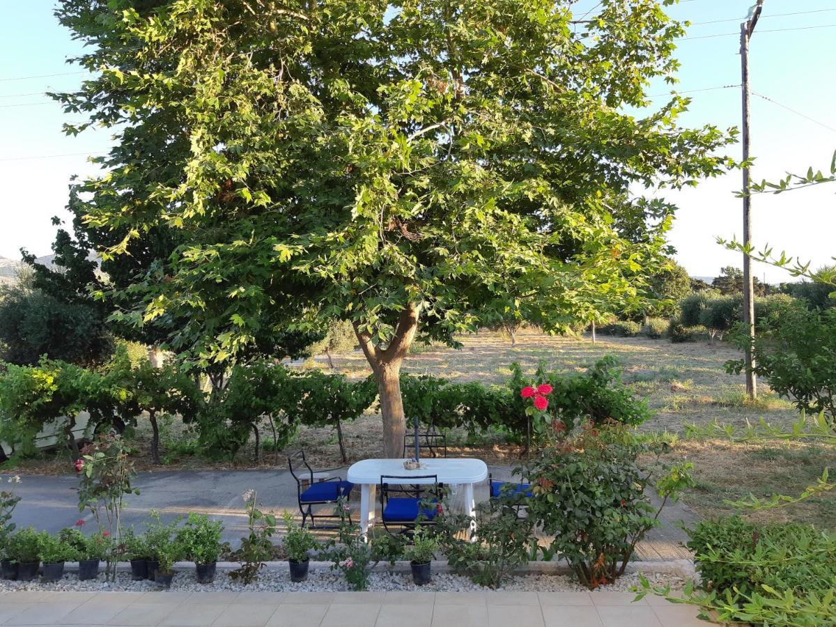 Swan House Panoramic View - Near The Sea Villa Zipárion Buitenkant foto